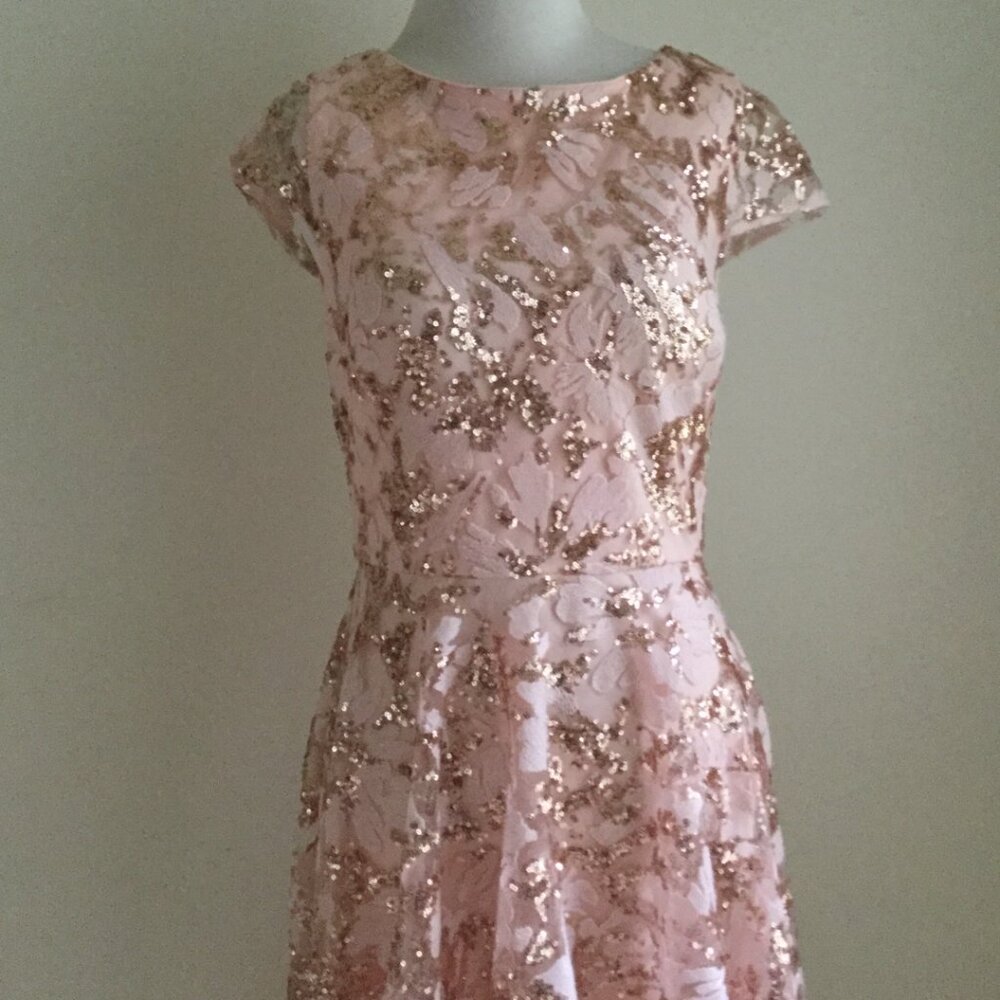 Eliza J. Sequin Peachy Pink Embroidered Sequin Gown 6 - Picture 3 of 13
